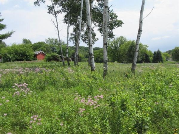 Lot 12 516th Street, Menomonie, WI 54751