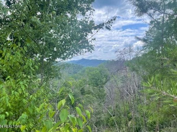 Lot 4 River Birch Way, Sevierville, TN 37862