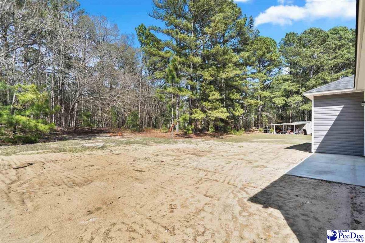1022 Watkins Lane Photo 38