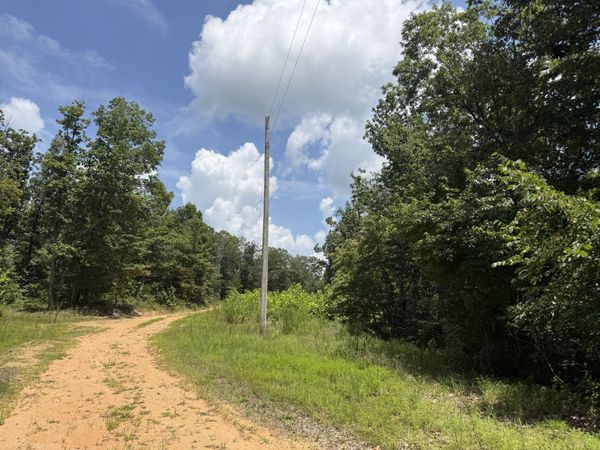 0 Petty Drive , Linden, TN 37096