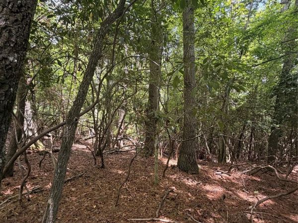 TBD DVGA Court , Brevard, NC 28712