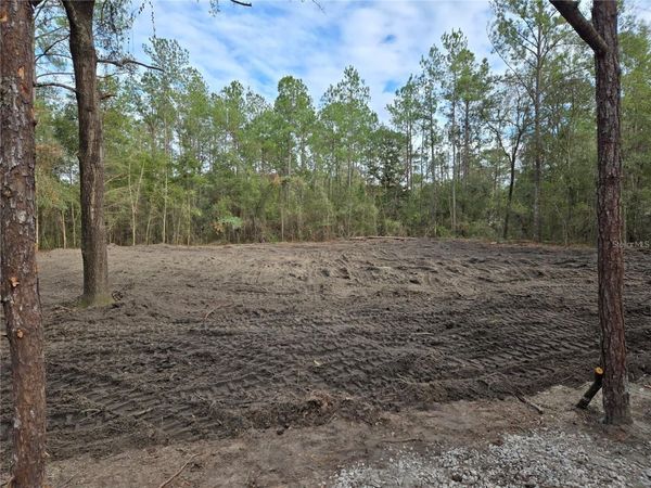 NE 127TH COURT , WILLISTON, FL 32696