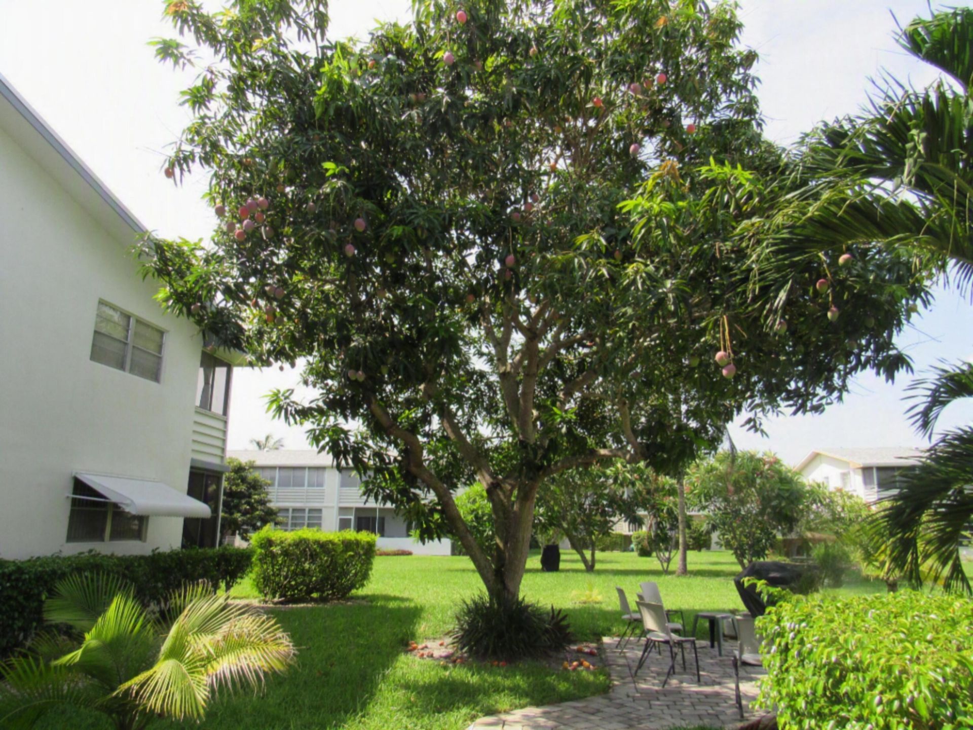 76 Cambridge D, West Palm Beach, FL 33417 Photo