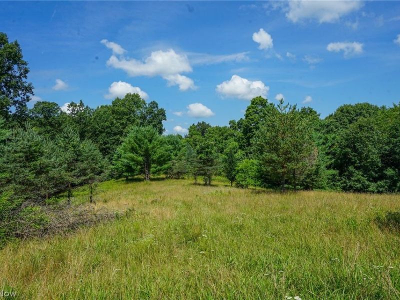 235 Butterbean Ridge Rd, Philo, OH 43771 Photo 1
