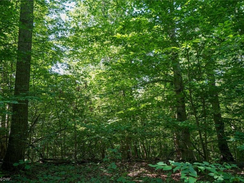 235 Butterbean Ridge Rd, Philo, OH 43771 Photo 11