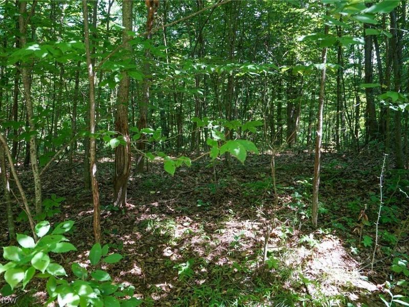 235 Butterbean Ridge Rd, Philo, OH 43771 Photo 12