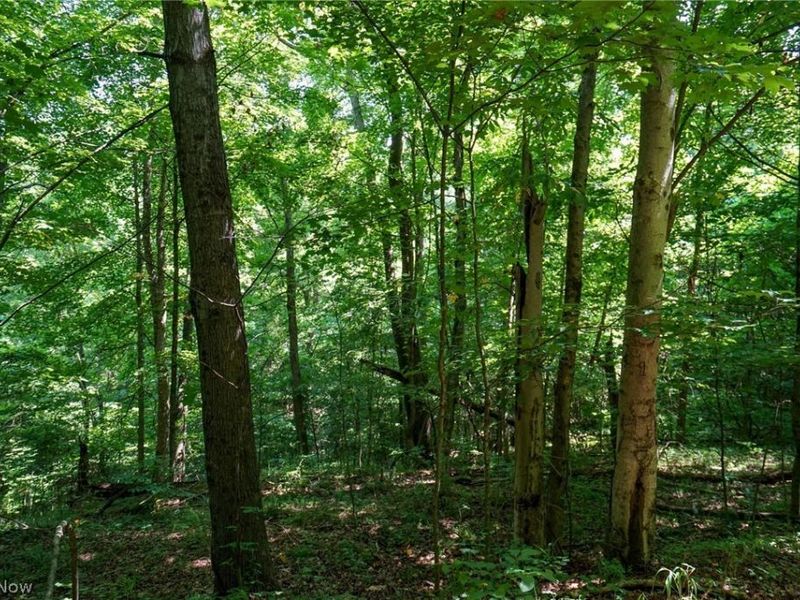 235 Butterbean Ridge Rd, Philo, OH 43771 Photo 13