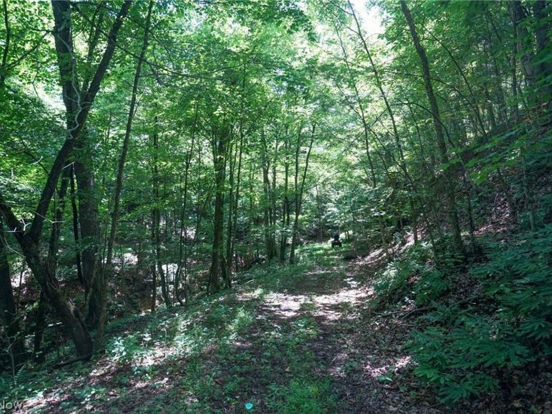 235 Butterbean Ridge Rd, Philo, OH 43771 Photo 14
