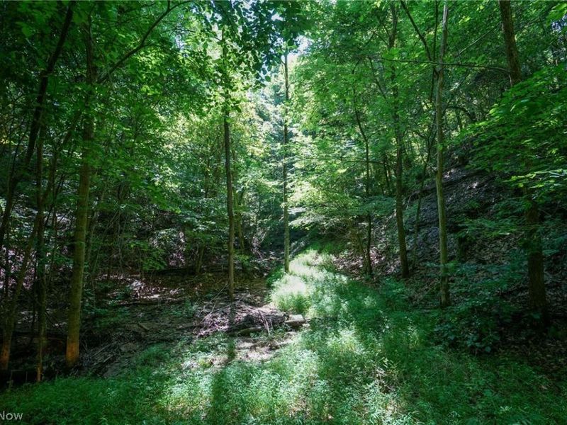 235 Butterbean Ridge Rd, Philo, OH 43771 Photo 16