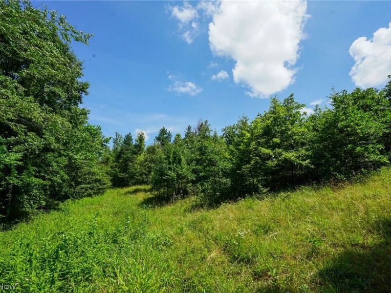 235 Butterbean Ridge Rd, Philo, OH 43771 Photo 17