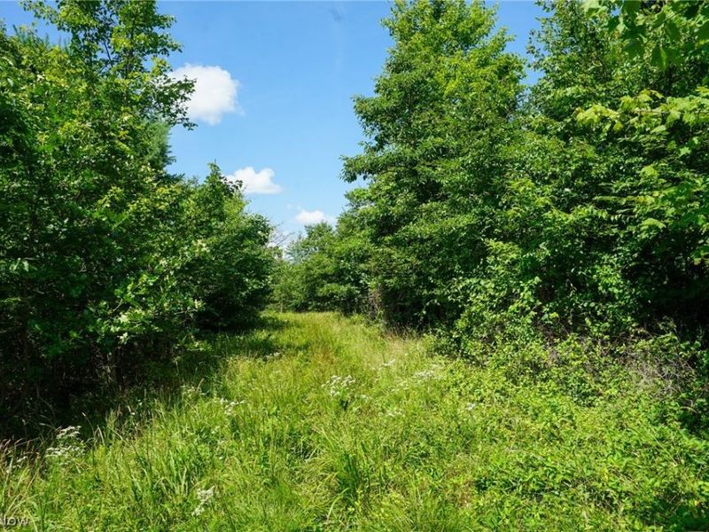 235 Butterbean Ridge Rd, Philo, OH 43771 Photo 18