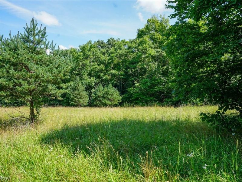 235 Butterbean Ridge Rd, Philo, OH 43771 Photo 2