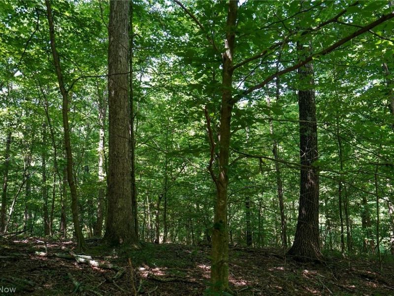 235 Butterbean Ridge Rd, Philo, OH 43771 Photo 23