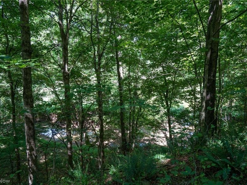 235 Butterbean Ridge Rd, Philo, OH 43771 Photo 24