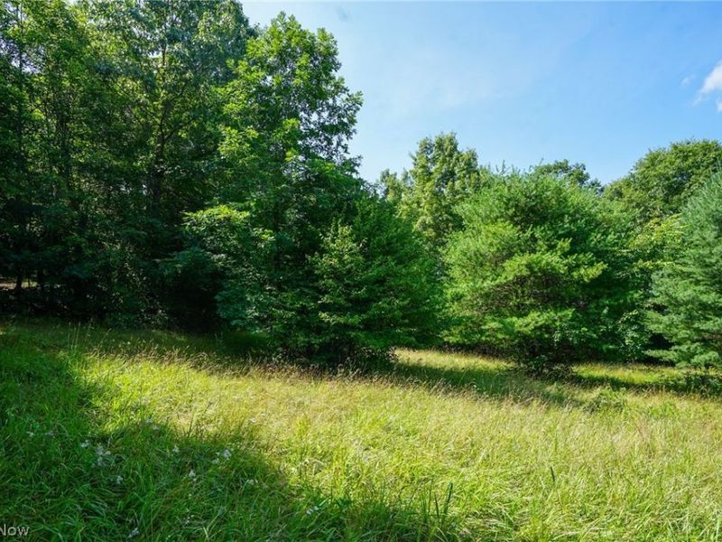 235 Butterbean Ridge Rd, Philo, OH 43771 Photo 3