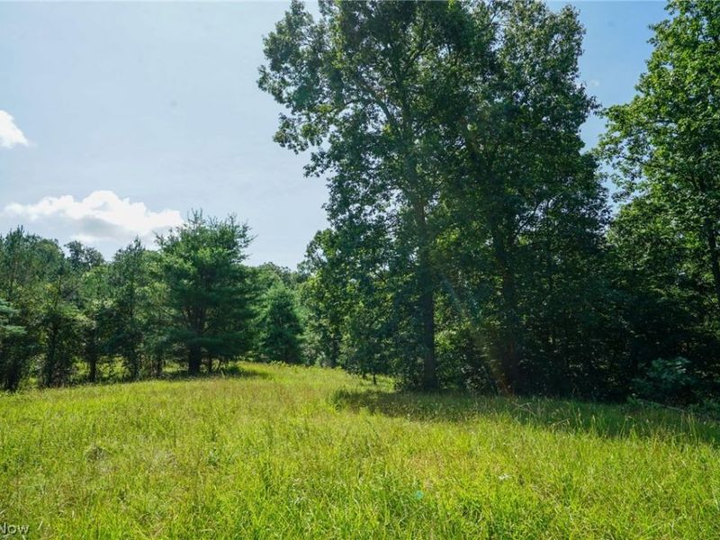 235 Butterbean Ridge Rd, Philo, OH 43771 Photo 4