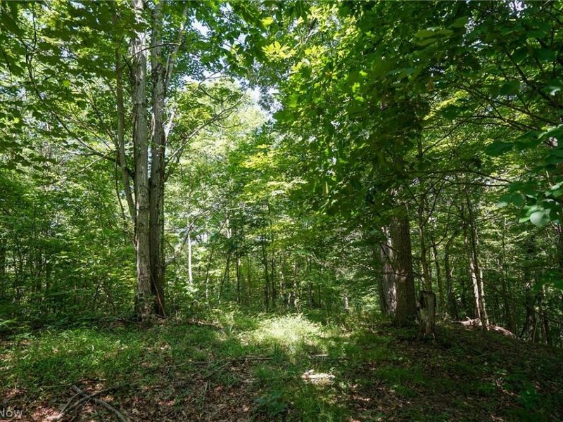 235 Butterbean Ridge Rd, Philo, OH 43771 Photo 5