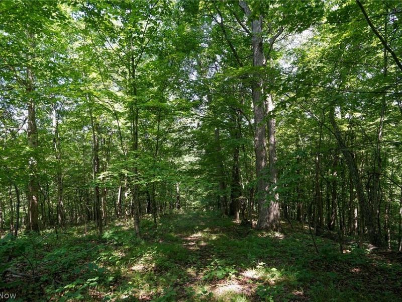 235 Butterbean Ridge Rd, Philo, OH 43771 Photo 6
