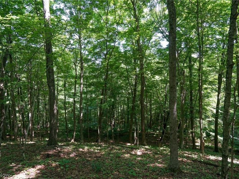 235 Butterbean Ridge Rd, Philo, OH 43771 Photo 7