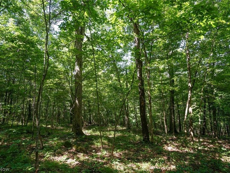 235 Butterbean Ridge Rd, Philo, OH 43771 Photo 8