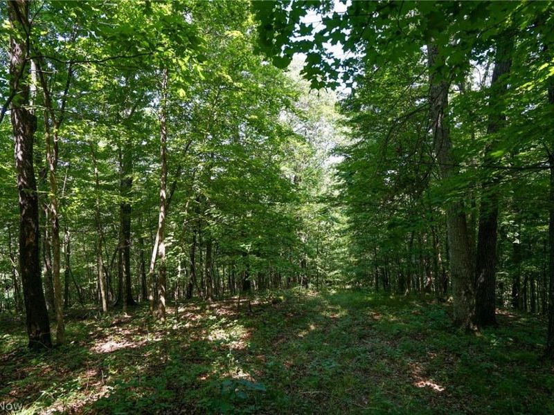 235 Butterbean Ridge Rd, Philo, OH 43771 Photo 9