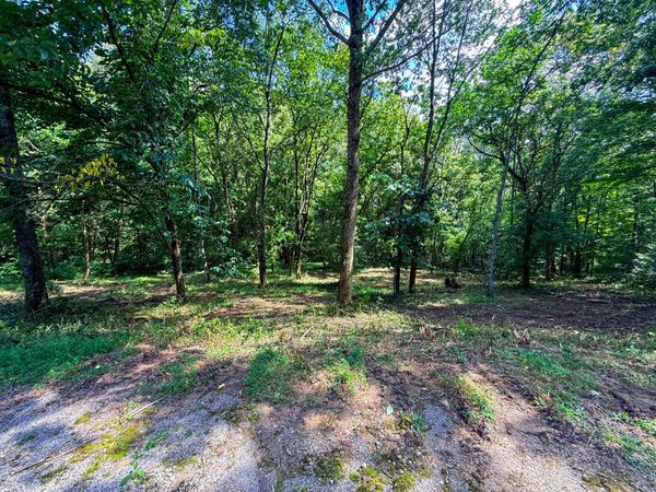 0 Savannah Dr, Unit 81, Smithville, TN 37166