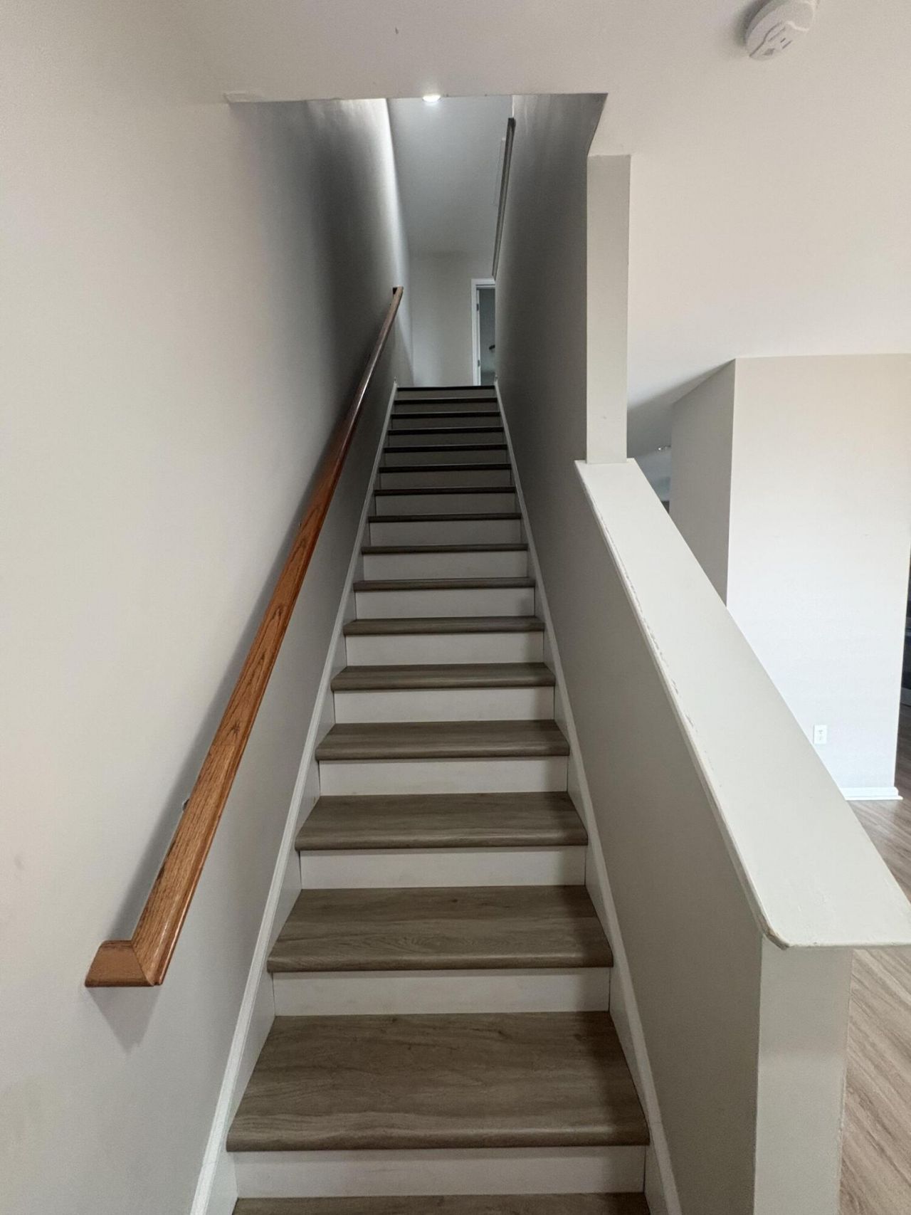 407 Hemingway Circle Photo 6
