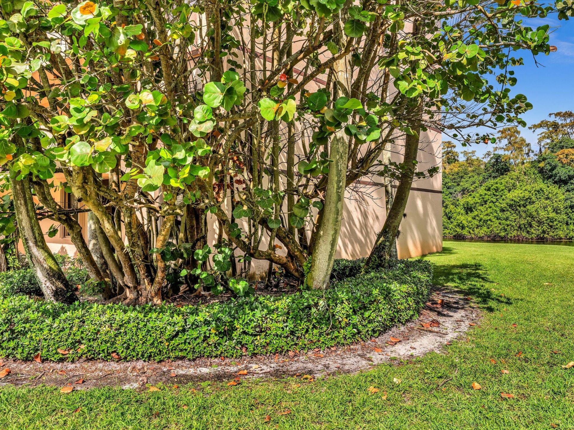 2659 Carambola Circle N, Unit 106, Coconut Creek, FL 33066 Photo