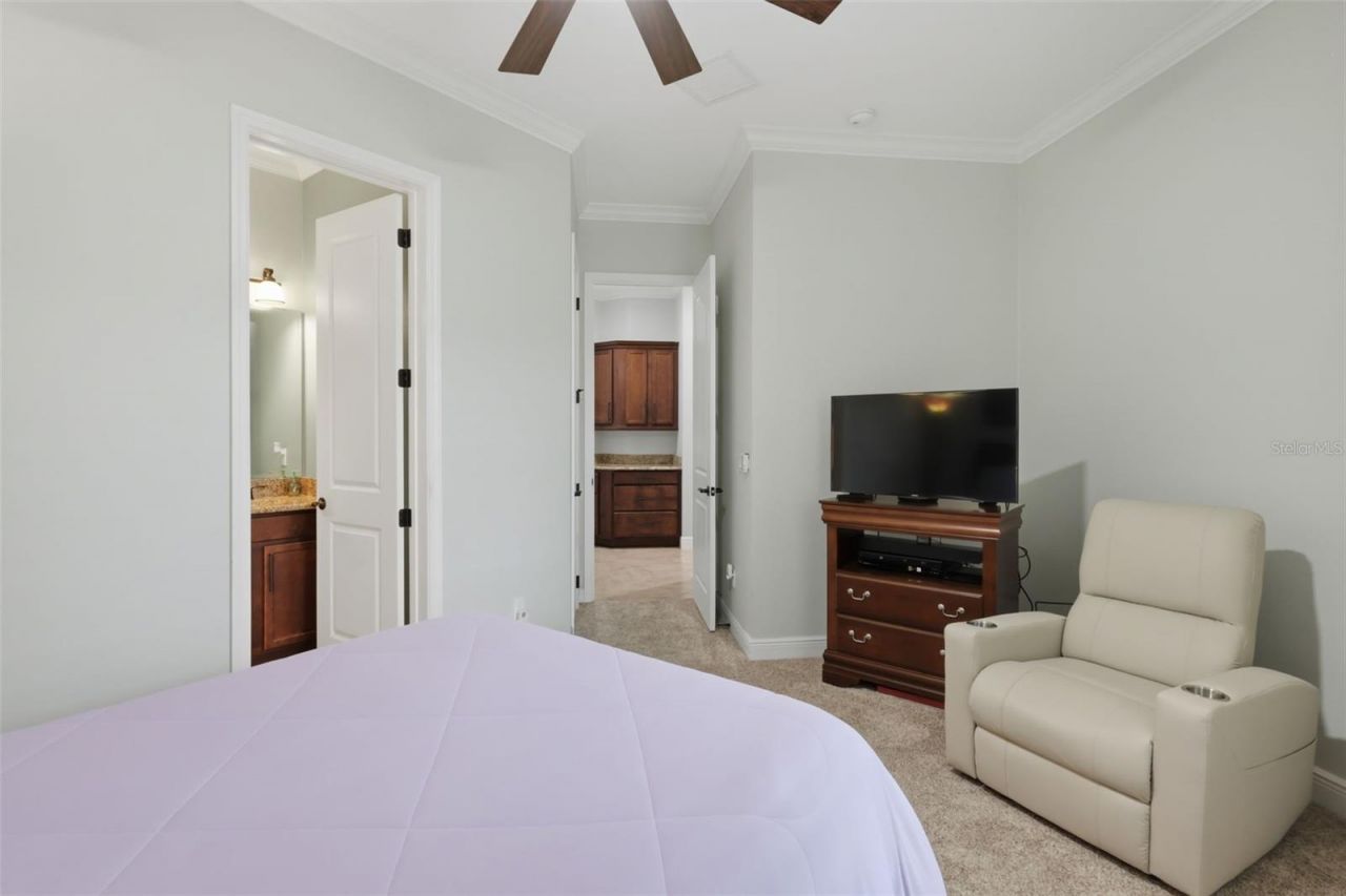 273 Silver Maple Road, Groveland, FL 34736 Photo