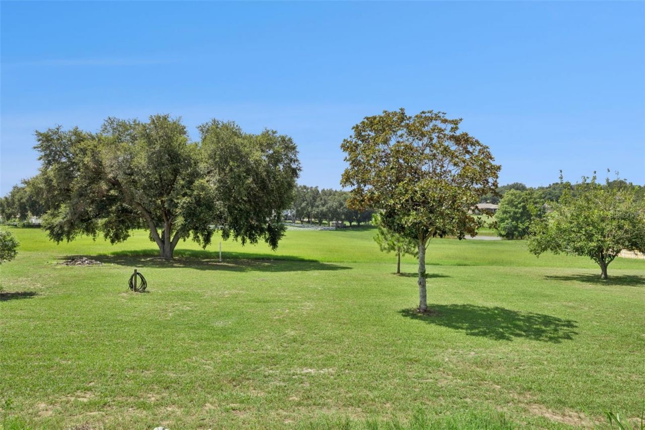 15734 Thoroughbred Lane, Montverde, FL 34756 Photo