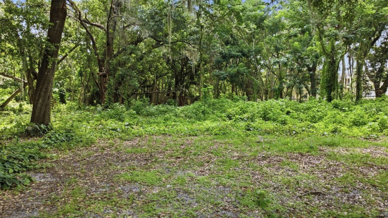 3075 N Goldenrod Road, Winter Park, FL 32792 Photo
