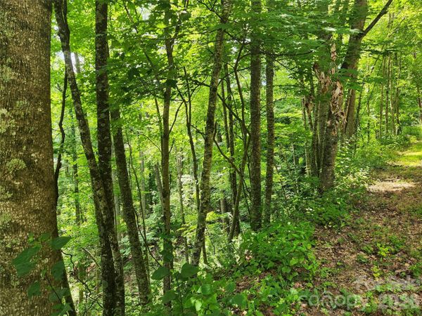 00 Green Ridge Falls Road , Weaverville, NC 28787