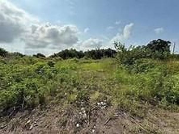LOT L-2 LANGSTON Lane , Port Sulphur, LA 70083