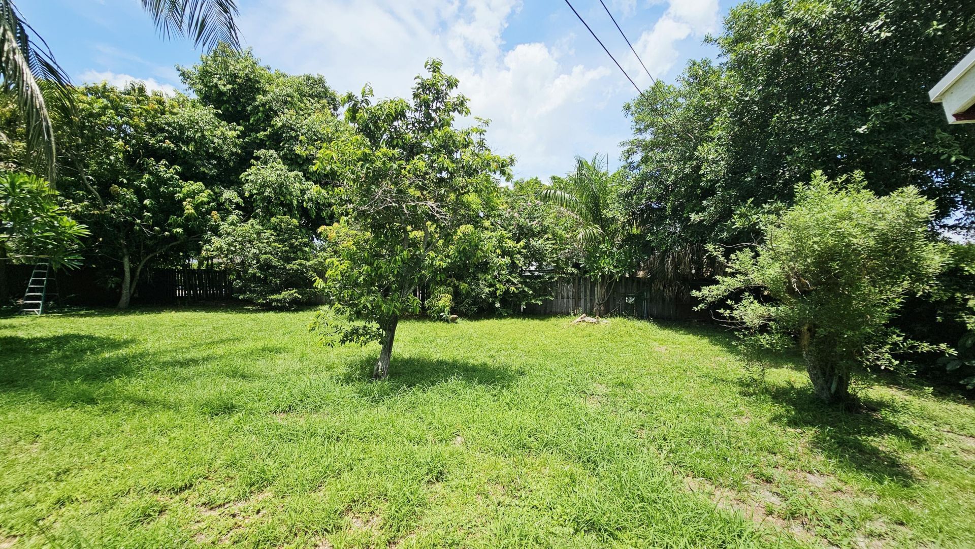 911 Burch Drive, West Palm Beach, FL 33415 Photo