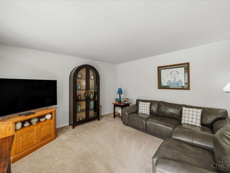 313 Parktrail Lane, Delhi Twp, OH 45238 Photo 13