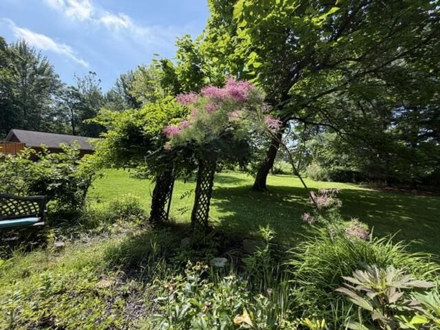Property Image 62