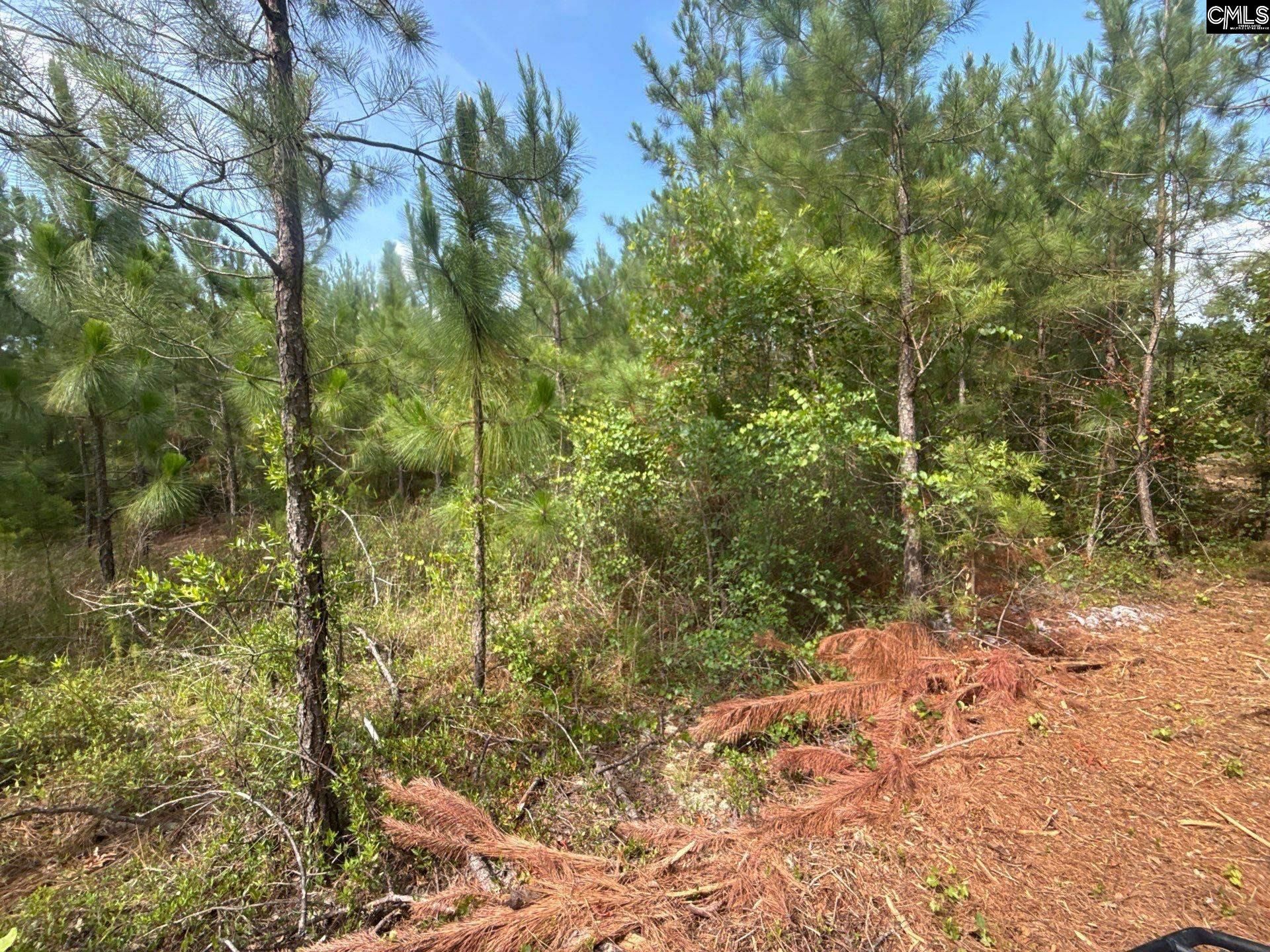 Mpf 3 State Rd S-28-31 Road  Photo 4