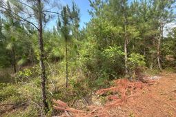 Mpf 3 State Rd S-28-31 Road  photo 4