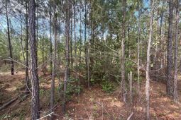 Mpf 3 State Rd S-28-31 Road  photo 4