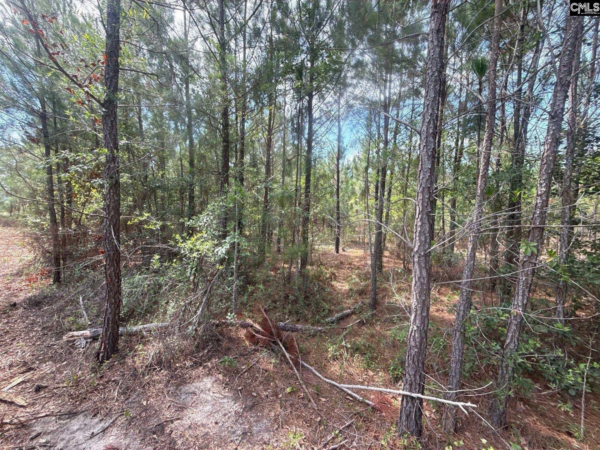 Mpf 3 State Rd S-28-31 Road  Photo 6