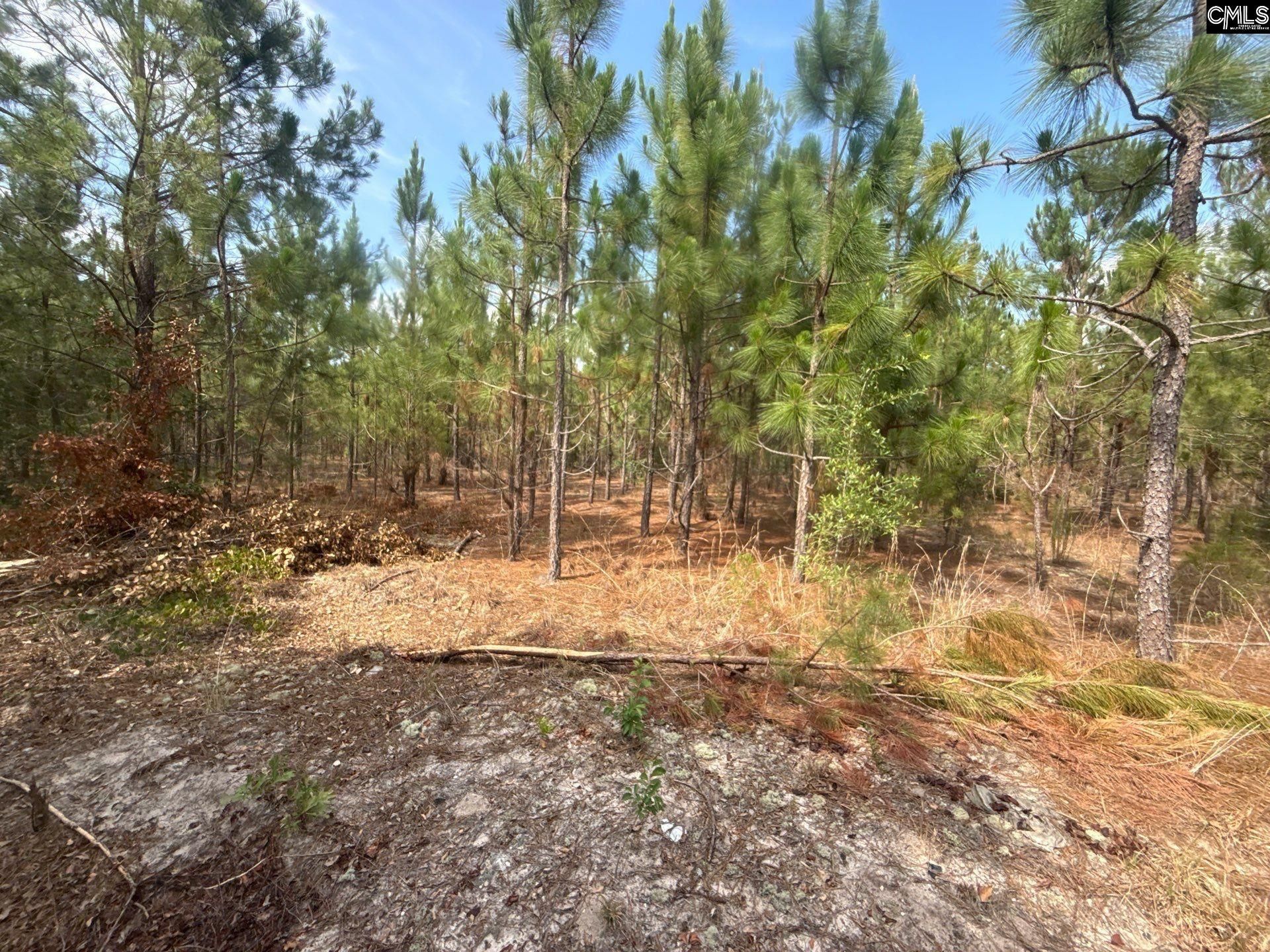 Mpf 3 State Rd S-28-31 Road  Photo 7