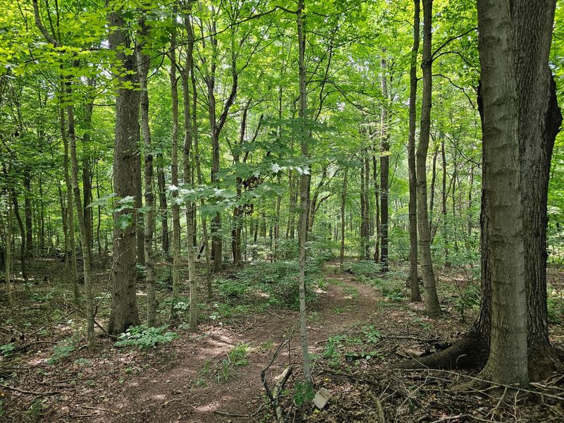 2738 Township Road 96 NW, Somerset, OH 43783 Photo 12