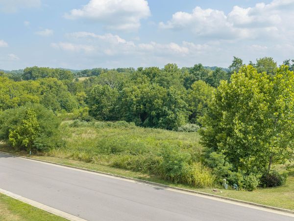 Lot 16 Ridgley LN , Fincastle, VA 24090