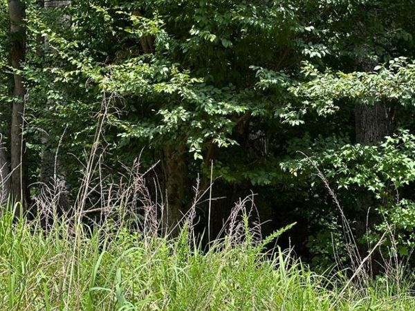 Lot 133 Bishop Drive, MONTROSS, VA 22520