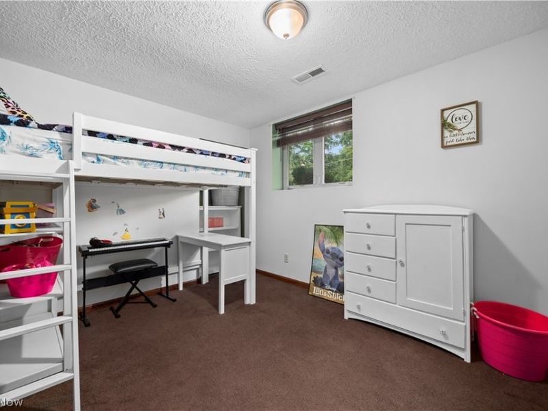 823 Willow Hollow Court, Amherst, OH 44001 Photo 19