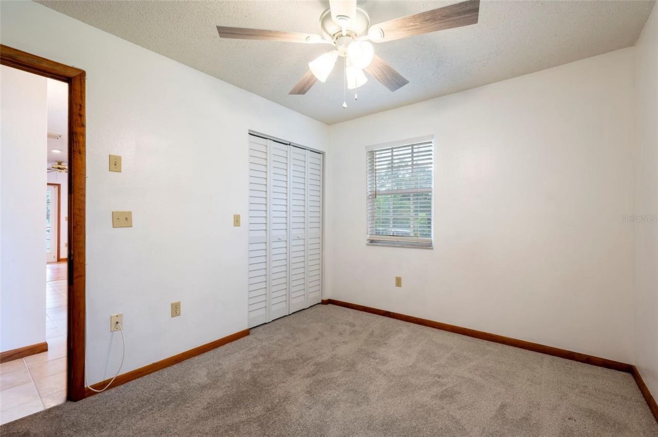 12055 Murray Avenue, Largo, FL 33778 Photo