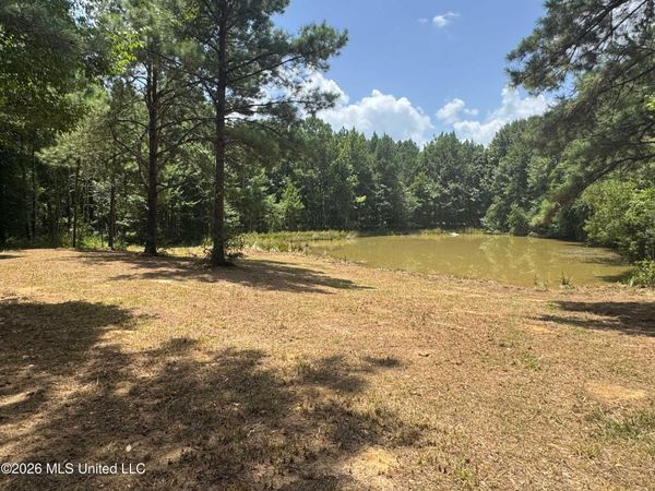 000 SW Maude Lane, Bogue Chitto, MS 39629