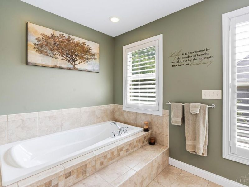 951 Volterra Lane, Cincinnati, OH 45206 Photo 61