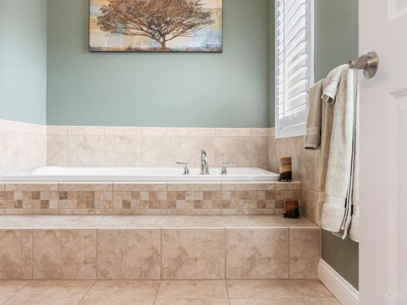 951 Volterra Lane, Cincinnati, OH 45206 Photo 65