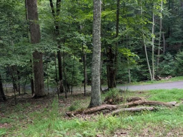 190 Valley Crest Drive, Blairsville, GA 30512